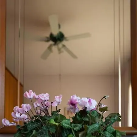 A Casa Di Licia شقة *